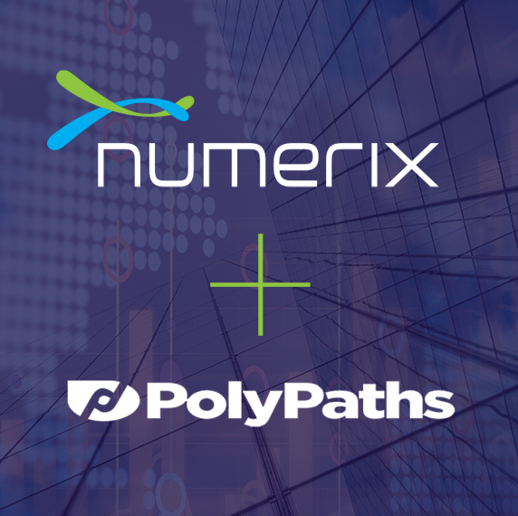 Numerix_PolyPaths_logo2
